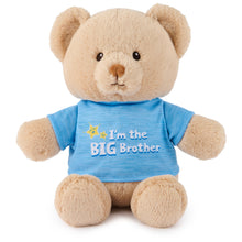 Load image into Gallery viewer, Big Brother and Big Sister Bears
