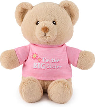 Load image into Gallery viewer, Big Brother and Big Sister Bears
